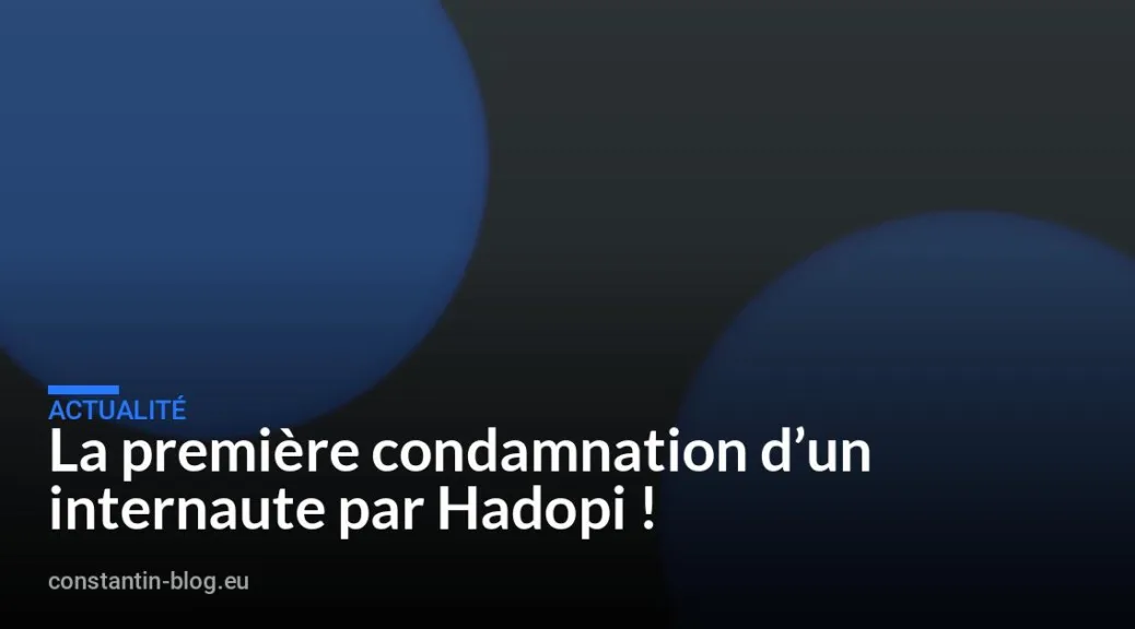 La premi&egrave;re condamnation d&rsquo;un internaute par Hadopi !