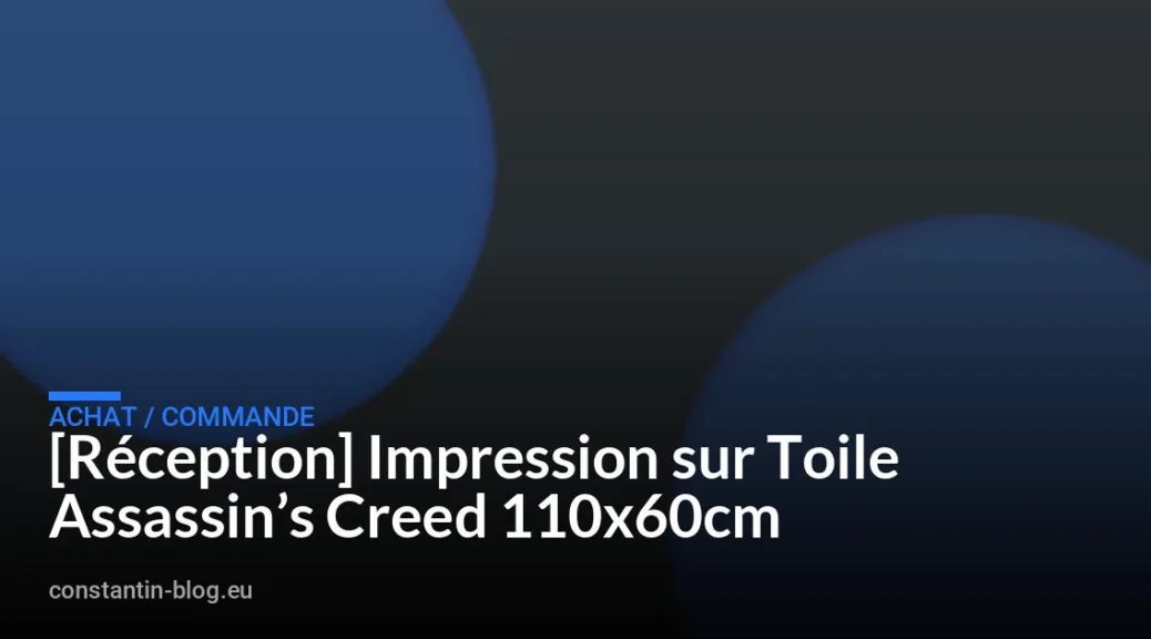 [Réception] Impression sur Toile Assassin&rsquo;s Creed 110x60cm